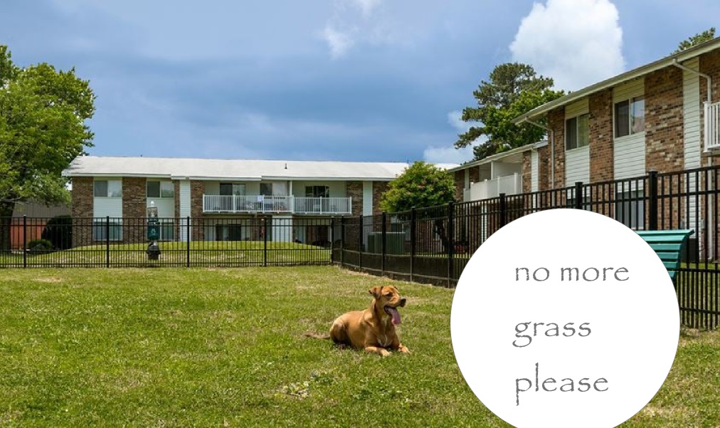 Beautiful home with a huge lawn